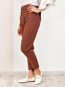 Штани повсякденні ISSA Plus модель SA-178_коричневый Фото