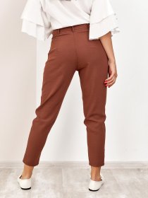 Повсякденні штани ISSA Plus модель SA-178_коричневый Фото