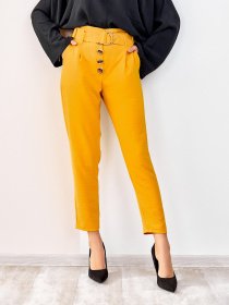 Брюки повседневные ISSA Plus модель SA-178_горчичный Фото