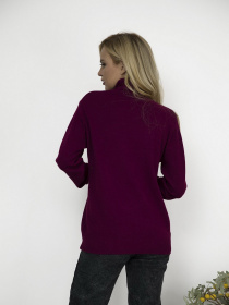 Водолазка ISSA Plus модель WN19-99_фиолетовый Фото