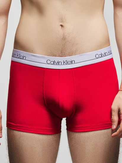 Труси Calvin Klein Underwear модель NB2336A_WBR_0041 — фото - INTERTOP