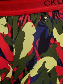 Трусы Calvin Klein Underwear модель NB2225A_91U Фото