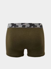 Трусы Calvin Klein Underwear модель NB2977A_RBN Фото