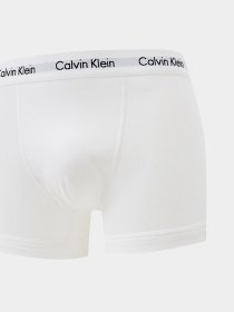 Набор трусов Calvin Klein Underwear Brief модель U2662G_100 Фото
