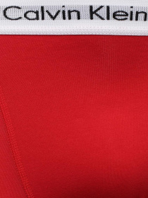 Набор трусов Calvin Klein Underwear модель U2662G_I03 Фото