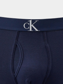 Трусы Calvin Klein Underwear модель NB2990A_8SB Фото