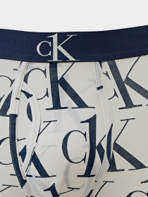 Труси Calvin Klein Underwear модель NB2990A_V7C Фото