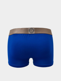 Трусы Calvin Klein Underwear модель NB2540A_C65 Фото