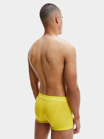 Набір трусів Calvin Klein Underwear Trunk модель U2664G_WHY Фото