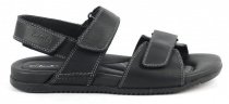 Сандалии Clarks модель 2035-3225 Фото