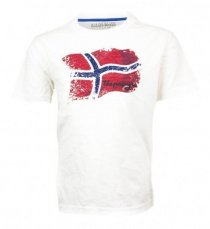 Футболки и поло Napapijri модель N0Y4UA028 Фото