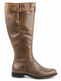 Чоботи та ботфорти ECCO модель 234523(01034) Фото