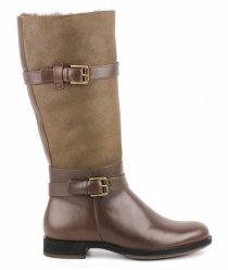 Чоботи та ботфорти ECCO модель 234623(55778) Фото