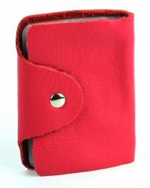 Визитница Braska модель 81-1602/183 Фото