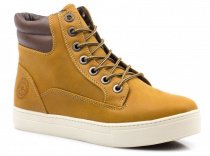 Кеди низькі Plato CRT модель 127232 natural/d.brown Фото