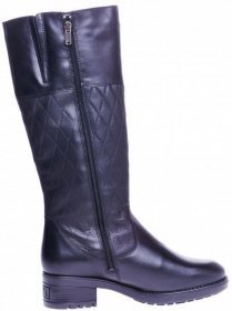 Сапоги и ботфорты Janita модель J44559-05010167-93F55101 Фото