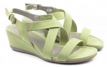 Джибітси ECCO модель 261143(02016) Фото