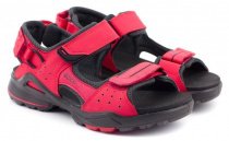 Сандалии ECCO модель 703553(58949) Фото