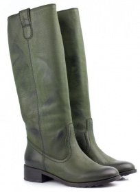 Чоботи та ботфорти Braska модель 020536 Фото