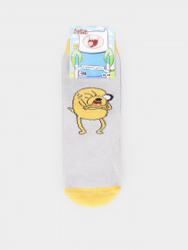 Шкарпетки та гольфи Дюна модель FN59 Фото