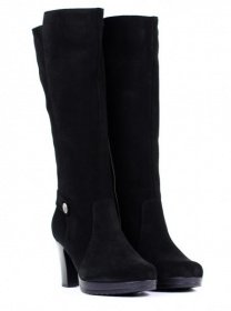 Сапоги и ботфорты Janita модель J44659-0801-93F62417 Фото