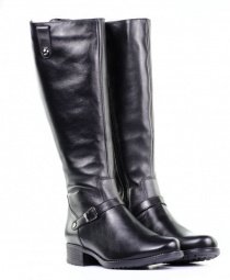 Сапоги и ботфорты Janita модель J54319-0501-93F41101 Фото