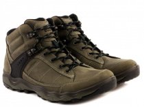 Ботинки и сапоги ECCO модель 823164(55894) Фото