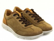 Напівчеревики зі шнуровкою ECCO модель 532734(50513) Фото