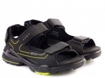 Сандалии ECCO модель 703593(51052) Фото