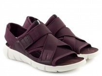 Сандалії ECCO модель 842003(52999) Фото