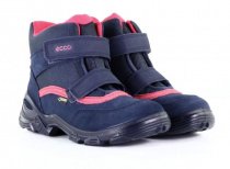 Ботинки и сапоги ECCO модель 721222(50595) Фото