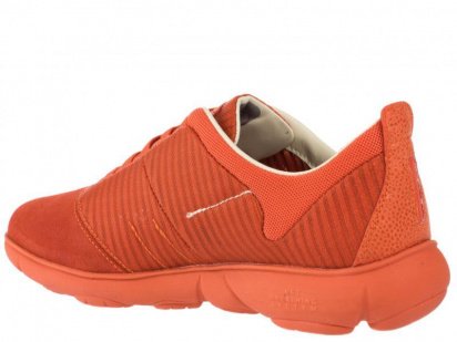Кросівки Geox модель D641EG-08822-C7012 — фото - INTERTOP