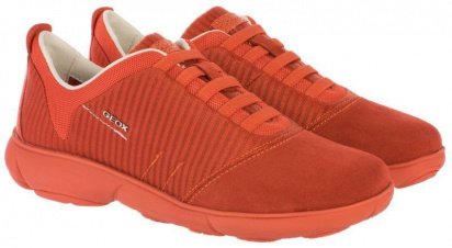 Кросівки Geox модель D641EG-08822-C7012 — фото 4 - INTERTOP