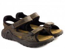 Сандалии IMAC модель 71430  3403/011 Фото