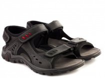 Сандалії IMAC модель 71510  3400/011 Фото