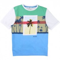 Футболки и поло Boss модель J25A56/68E Фото