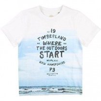 Футболки и поло Timberland Kids модель T25L66/10B Фото