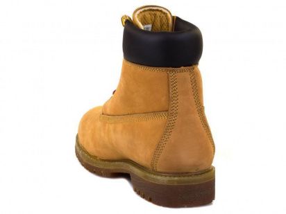 Черевики зі шнурівкою Skechers модель 64905 WTG — фото - INTERTOP