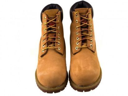 Черевики зі шнурівкою Skechers модель 64905 WTG — фото 4 - INTERTOP