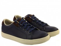 Кеды низкие Skechers модель 64960 NVY Фото