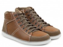 Черевики зі шнурівкою Skechers модель 65062 TAN Фото