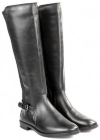 Чоботи ECCO модель 272033(51707) Фото