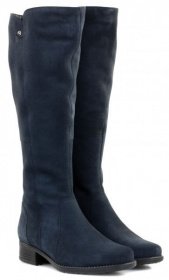 Сапоги и ботфорты Janita модель J54909-0817-83F41101 Фото