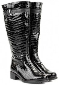 Сапоги и ботфорты Janita модель J47529-02310501-83F21901 Фото