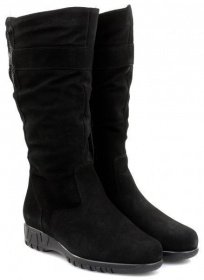 Чоботи та ботфорти Janita модель J49689-08010006-93F16101 Фото