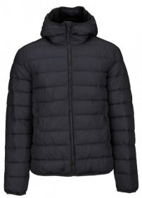 Куртки и дубленки Geox модель M7428F-T2421-F4300 Фото