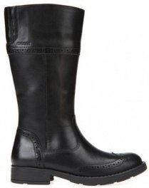 Сапоги Geox модель J74D3G-00043-C9999 Фото