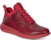 Напівчеревики зі шнуровкою ECCO модель 450503(01466) Фото