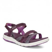 Сандалії ECCO ECCO CRUISE II модель 821833(50856) Фото