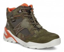 Ботинки ECCO модель 706553(57113) Фото